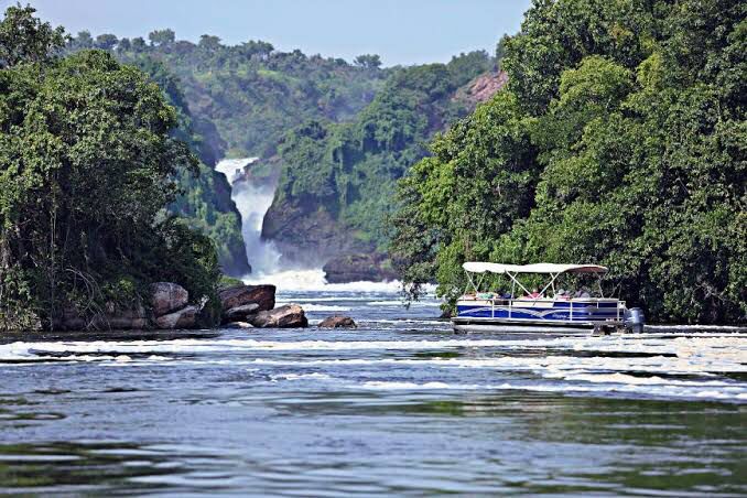 Murchison Falls View